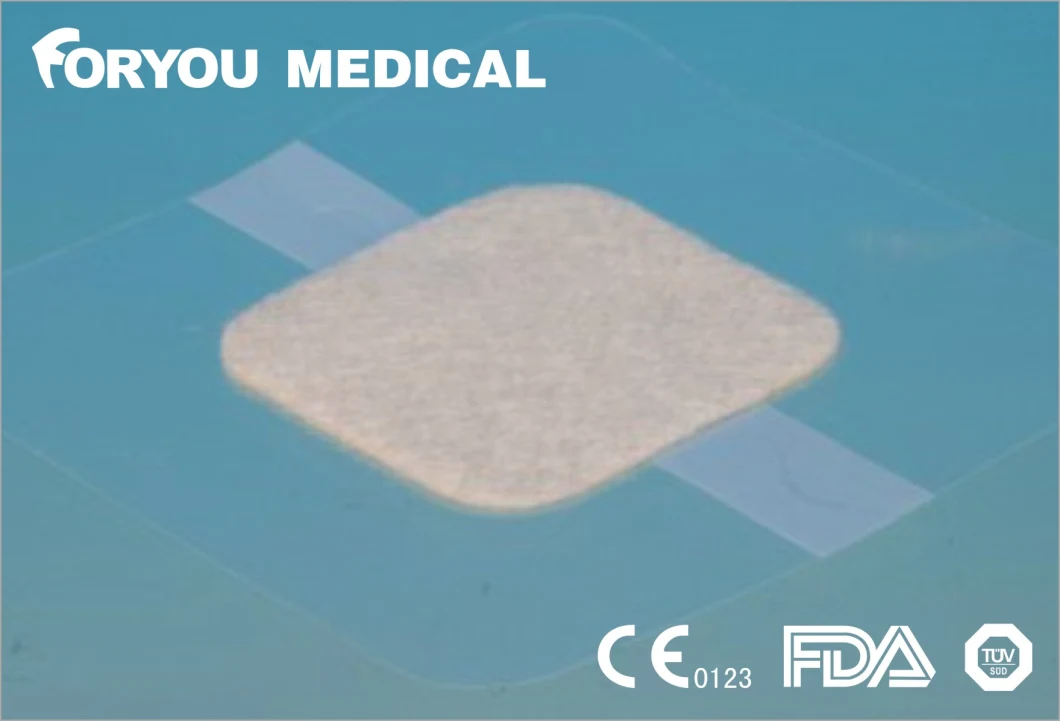 Huizhou Foryou Medical Absorbs Wound Fluid Diabetic Foot Ulcers Calcium Ion Alginate Wound Dressing Medical Hemostatic Dressing